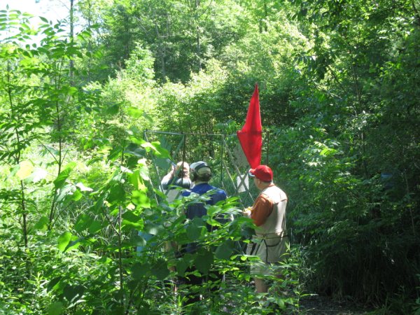 Galt7-3-2010 01610.jpg